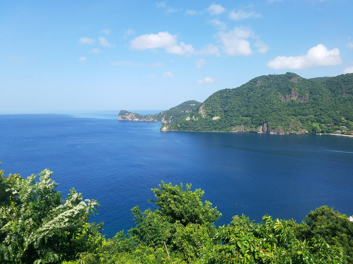 Island-Inspired Skincare